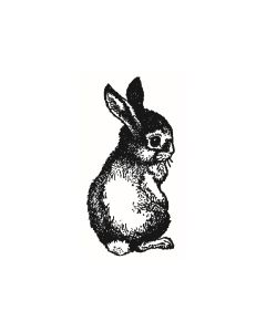 Baby Hase - D-1739