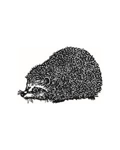 Igel - E-1480