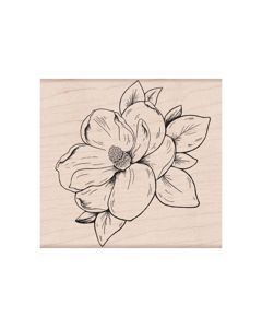 Magnolie - K-6270