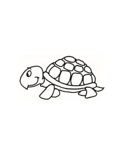 Schildkröte - 2032