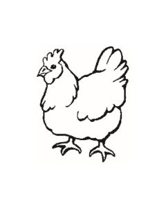 Huhn - 2066