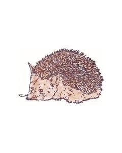 Igel - D-787