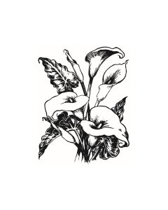 Calla Lily - K-1696